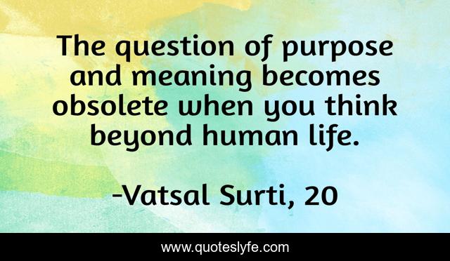 The question of purpose and meaning becomes obsolete when you think beyond human life.