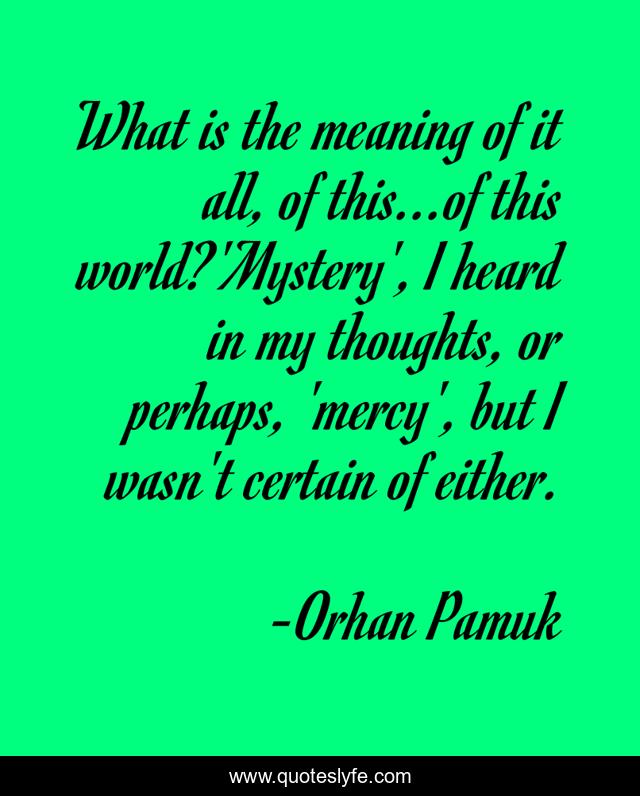 What is the meaning of it all, of this...of this world?'Mystery', I heard in my thoughts, or perhaps, 'mercy', but I wasn't certain of either.