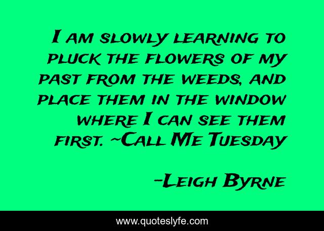 I am slowly learning to pluck the flowers of my past from the weeds, and place them in the window where I can see them first. ~Call Me Tuesday