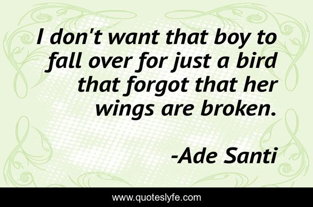 I don't want that boy to fall over for just a bird that forgot that her wings are broken.