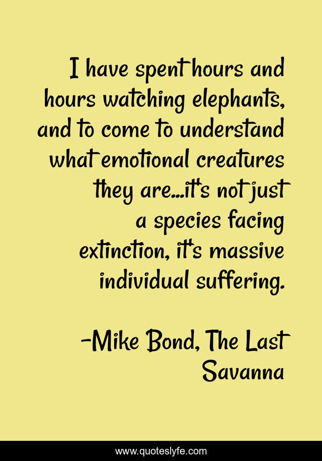 I have spent hours and hours watching elephants, and to come to understand what emotional creatures they are...it's not just a species facing extinction, it's massive individual suffering.