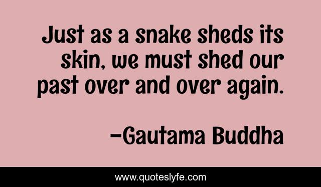 Just as a snake sheds its skin, we must shed our past over and over again.