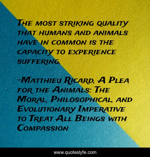 The most striking quality that humans and animals have in common is the capacity to experience suffering.