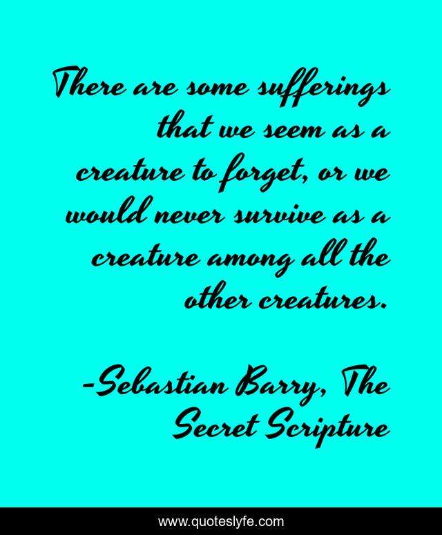 There are some sufferings that we seem as a creature to forget, or we would never survive as a creature among all the other creatures.