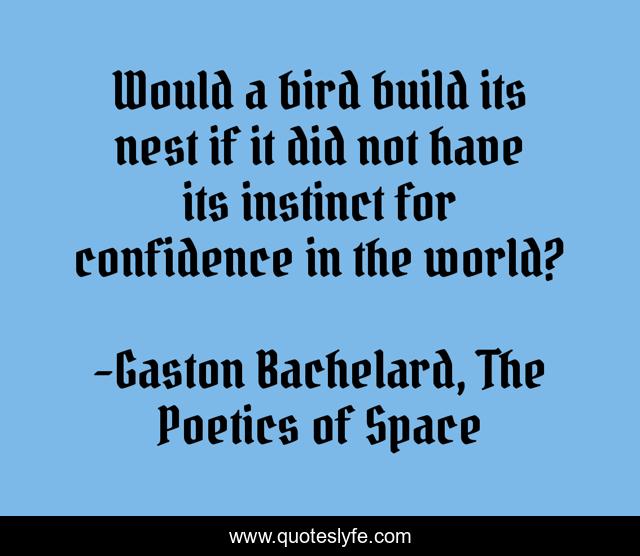 Would a bird build its nest if it did not have its instinct for confidence in the world?