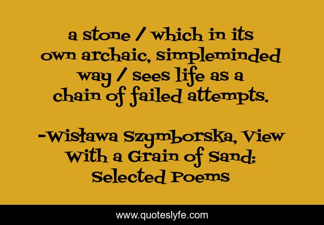 a stone / which in its own archaic, simpleminded way / sees life as a chain of failed attempts.