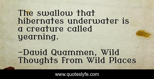The swallow that hibernates underwater is a creature called yearning.