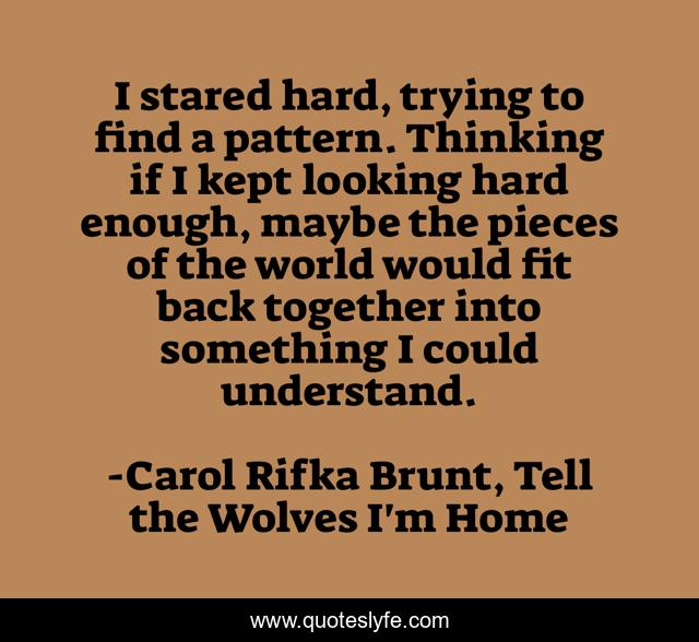 I stared hard, trying to find a pattern. Thinking if I kept looking hard enough, maybe the pieces of the world would fit back together into something I could understand.