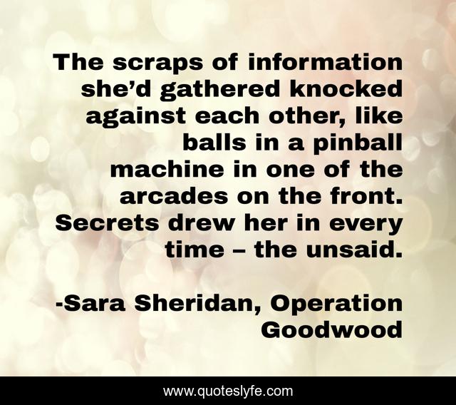 The scraps of information she’d gathered knocked against each other, like balls in a pinball machine in one of the arcades on the front. Secrets drew her in every time – the unsaid.