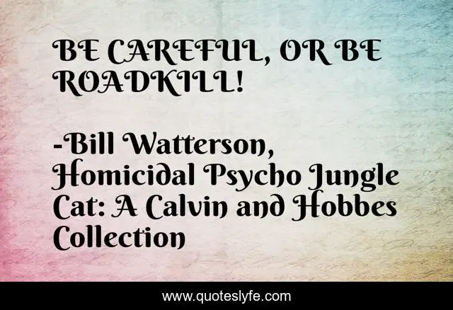 BE CAREFUL, OR BE ROADKILL!