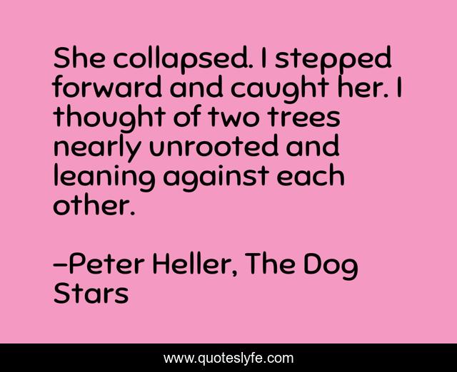 She collapsed. I stepped forward and caught her. I thought of two trees nearly unrooted and leaning against each other.