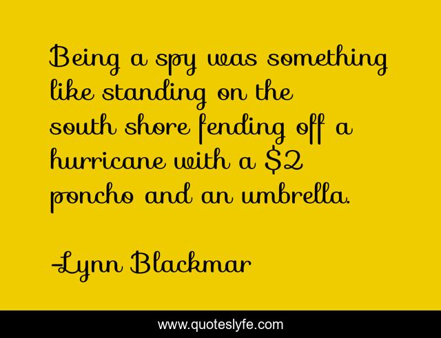 Being a spy was something like standing on the south shore fending off a hurricane with a $2 poncho and an umbrella.