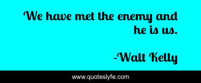 We have met the enemy and he is us.