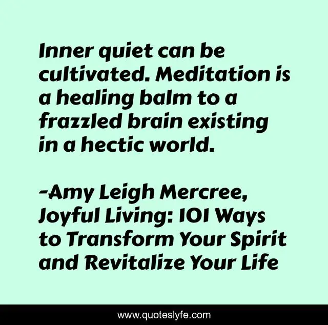 Inner quiet can be cultivated. Meditation is a healing balm to a frazzled brain existing in a hectic world.