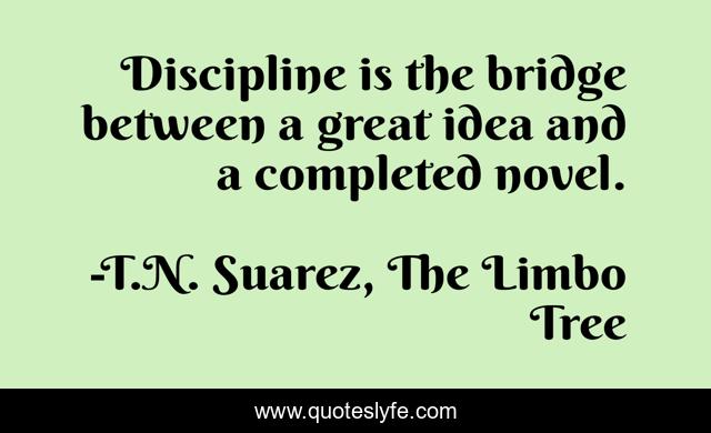 Discipline is the bridge between a great idea and a completed novel.