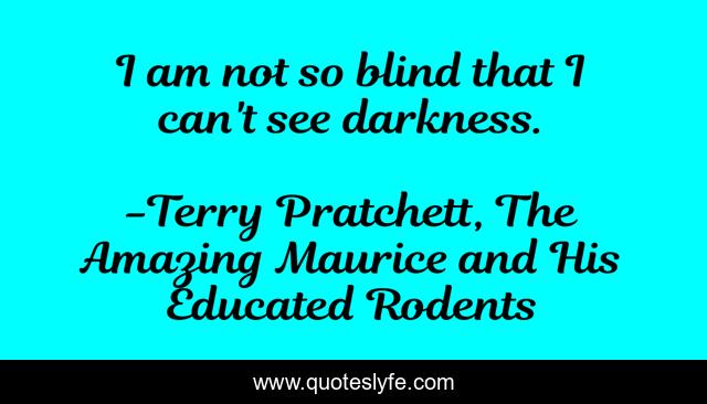 I am not so blind that I can't see darkness.