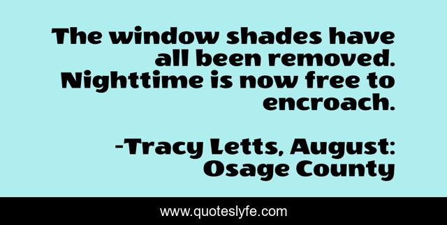 The window shades have all been removed. Nighttime is now free to encroach.