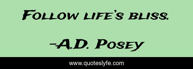 Follow life’s bliss.