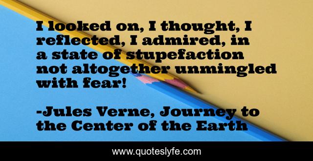 I looked on, I thought, I reflected, I admired, in a state of stupefaction not altogether unmingled with fear!