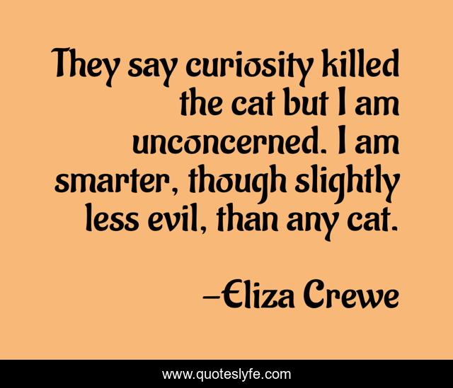 They say curiosity killed the cat but I am unconcerned. I am smarter, though slightly less evil, than any cat.