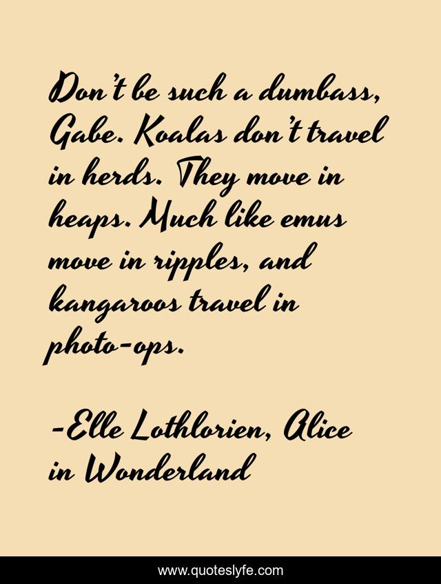 Don’t be such a dumbass, Gabe. Koalas don’t travel in herds. They move in heaps. Much like emus move in ripples, and kangaroos travel in photo-ops.