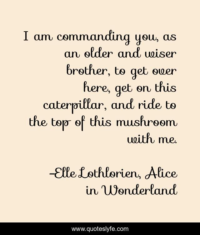 I am commanding you, as an older and wiser brother, to get over here, get on this caterpillar, and ride to the top of this mushroom with me.