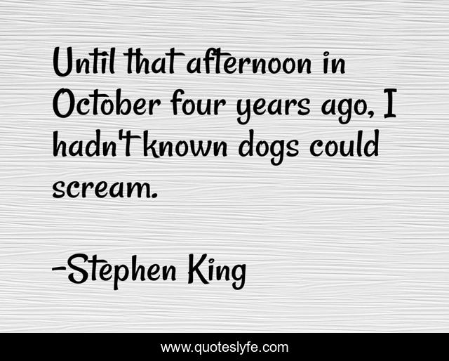 Until that afternoon in October four years ago, I hadn't known dogs could scream.