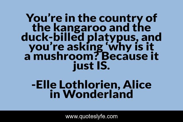 You’re in the country of the kangaroo and the duck-billed platypus, and you’re asking ‘why is it a mushroom? Because it just IS.