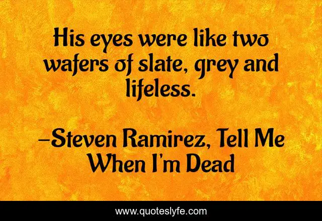 His eyes were like two wafers of slate, grey and lifeless.