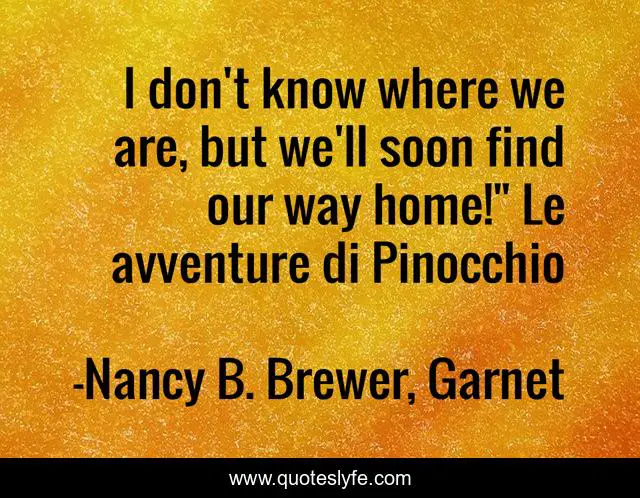 I don't know where we are, but we'll soon find our way home!