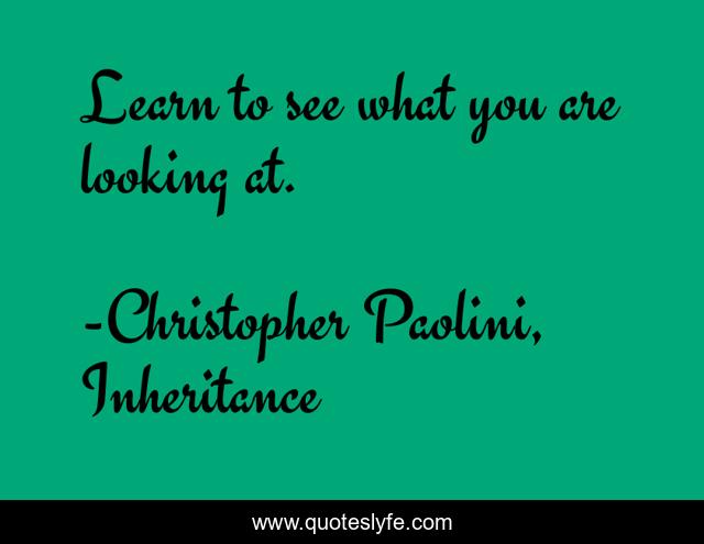 Learn to see what you are looking at.