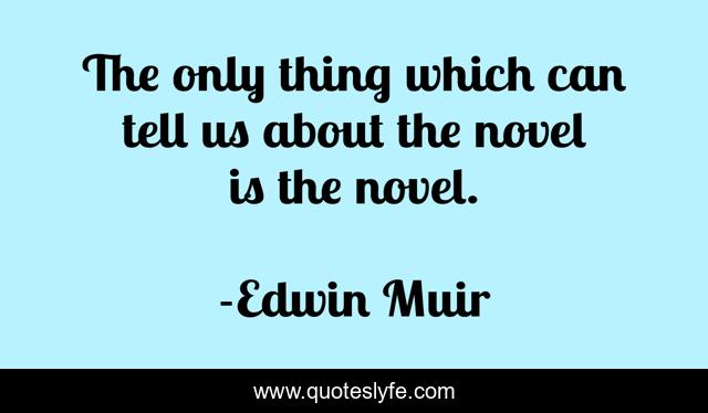 The only thing which can tell us about the novel is the novel.