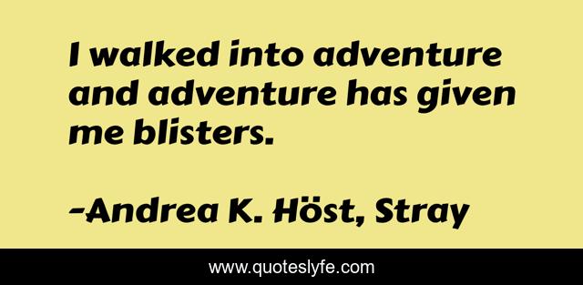 I walked into adventure and adventure has given me blisters.