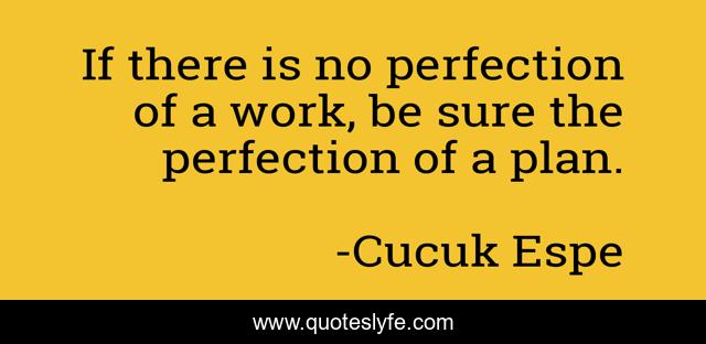 If there is no perfection of a work, be sure the perfection of a plan.