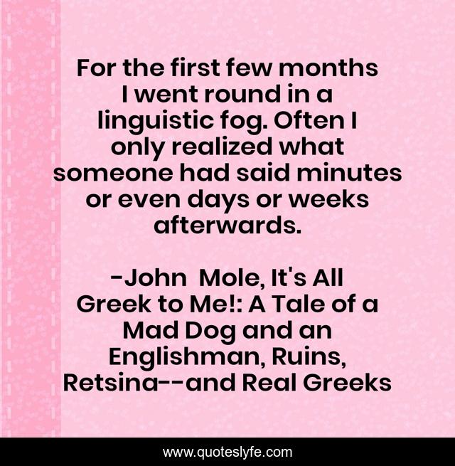For the first few months I went round in a linguistic fog. Often I only realized what someone had said minutes or even days or weeks afterwards.