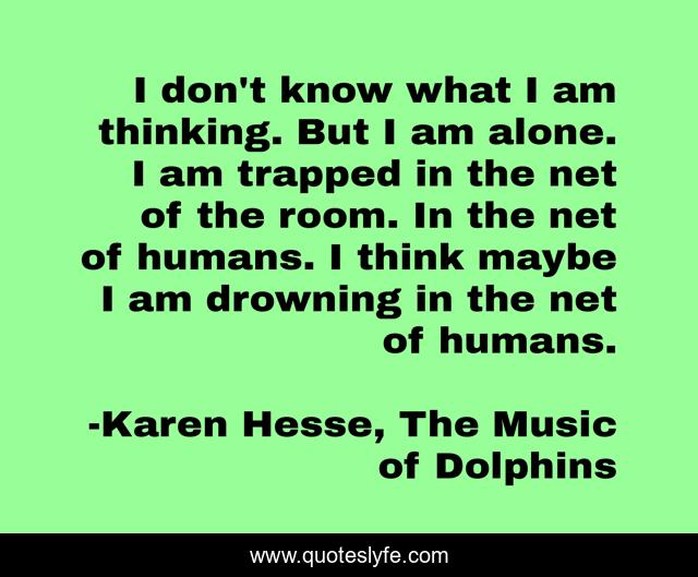I don't know what I am thinking. But I am alone. I am trapped in the net of the room. In the net of humans. I think maybe I am drowning in the net of humans.