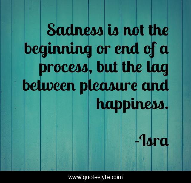 Sadness is not the beginning or end of a process, but the lag between pleasure and happiness.