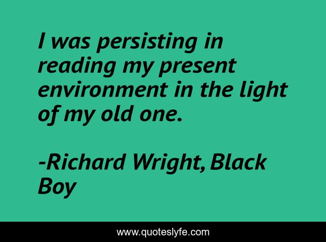 I was persisting in reading my present environment in the light of my old one.