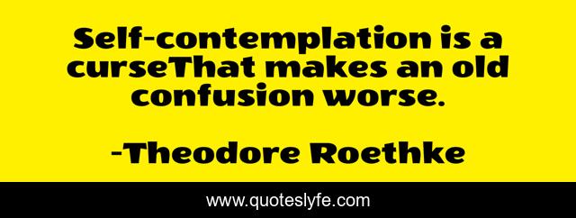 Self-contemplation is a curseThat makes an old confusion worse.