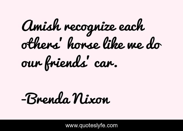 Amish recognize each others' horse like we do our friends' car.