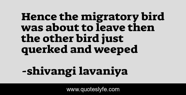 Hence the migratory bird was about to leave then the other bird just querked and weeped