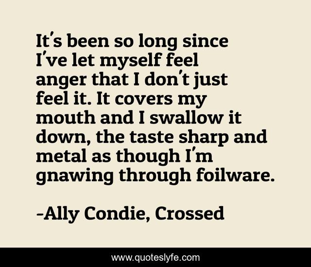 It's been so long since I've let myself feel anger that I don't just feel it. It covers my mouth and I swallow it down, the taste sharp and metal as though I'm gnawing through foilware.