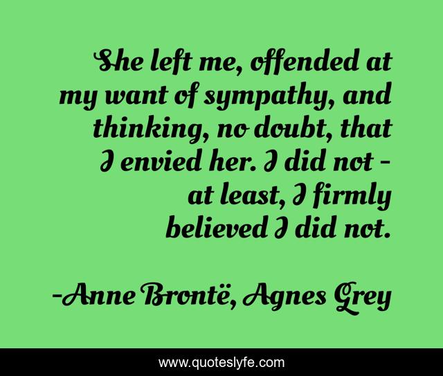 She left me, offended at my want of sympathy, and thinking, no doubt, that I envied her. I did not - at least, I firmly believed I did not.