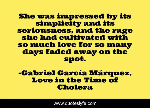 She was impressed by its simplicity and its seriousness, and the rage she had cultivated with so much love for so many days faded away on the spot.