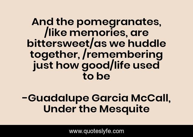 And the pomegranates, /like memories, are bittersweet/as we huddle together, /remembering just how good/life used to be