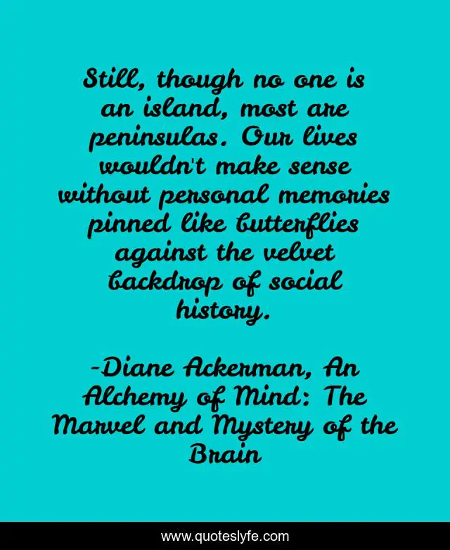 Still, though no one is an island, most are peninsulas. Our lives wouldn't make sense without personal memories pinned like butterflies against the velvet backdrop of social history.