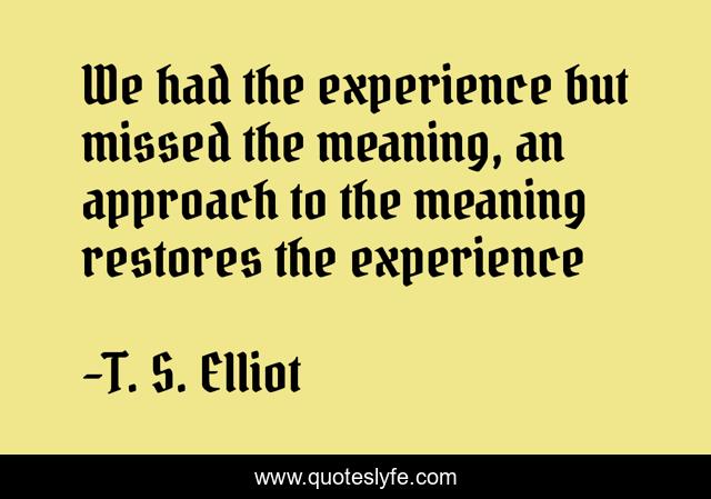 We had the experience but missed the meaning, an approach to the meaning restores the experience