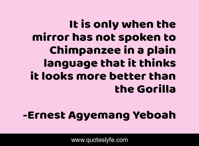 It is only when the mirror has not spoken to Chimpanzee in a plain language that it thinks it looks more better than the Gorilla
