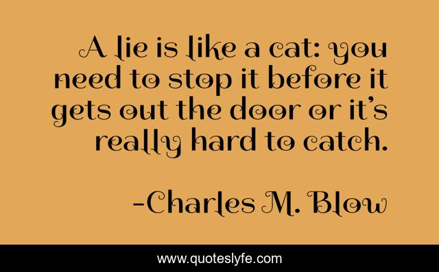 A lie is like a cat: you need to stop it before it gets out the door or it’s really hard to catch.