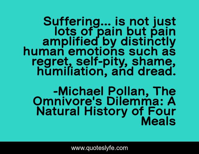 Suffering... is not just lots of pain but pain amplified by distinctly human emotions such as regret, self-pity, shame, humiliation, and dread.